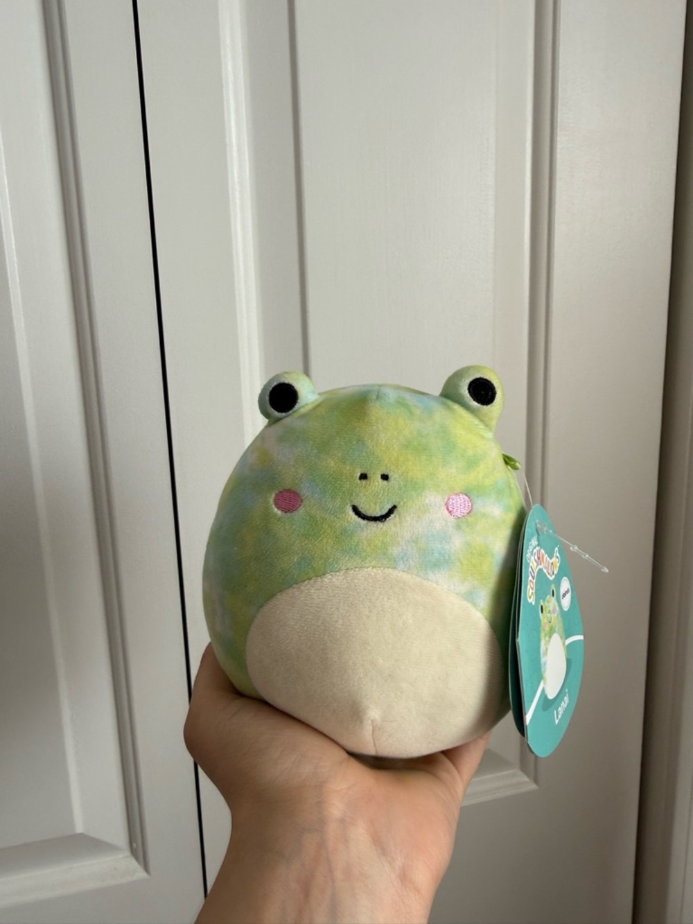 Lanai the Tie Dye Frog Squishmallow 5”